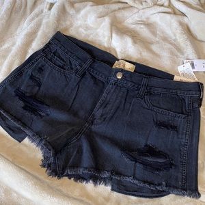 Hollister high rise short-shorts